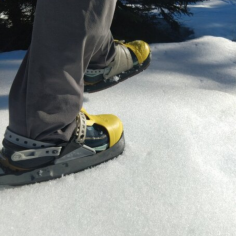 Zweite Hand EVVO TOREE -... 2